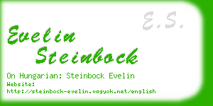 evelin steinbock business card